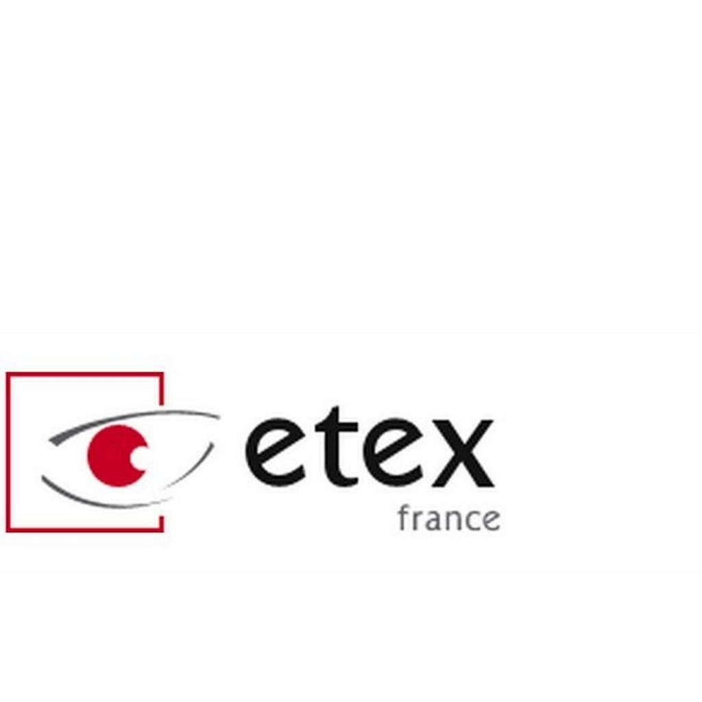 Logo de la société etex france