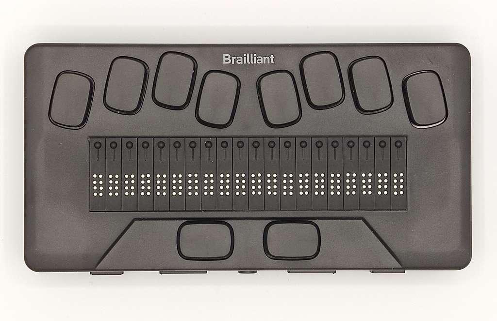 Vue du dessus du Brailliant BI 20X sans sa housse montrant le clavier braille et l'afficheur braille
